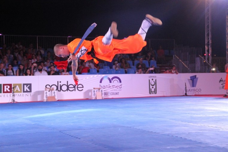 Martial Arts Festival